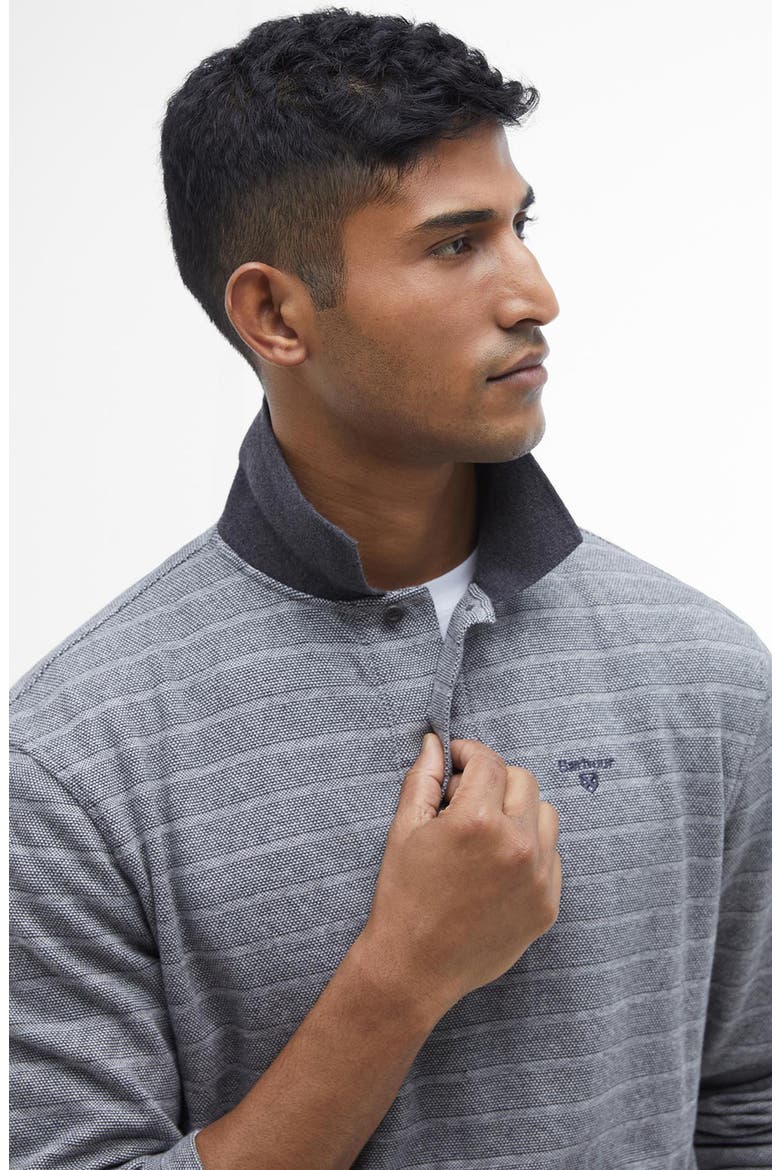 Cleveland Long Sleeve Cotton Rib Polo, Alternate, color, GREY MIX