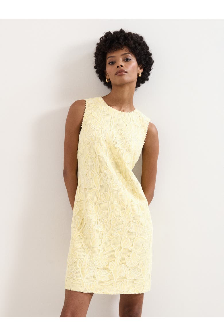 Bryony Sleeveless Lace Mini Dress, Alternate, color, Pale Yellow