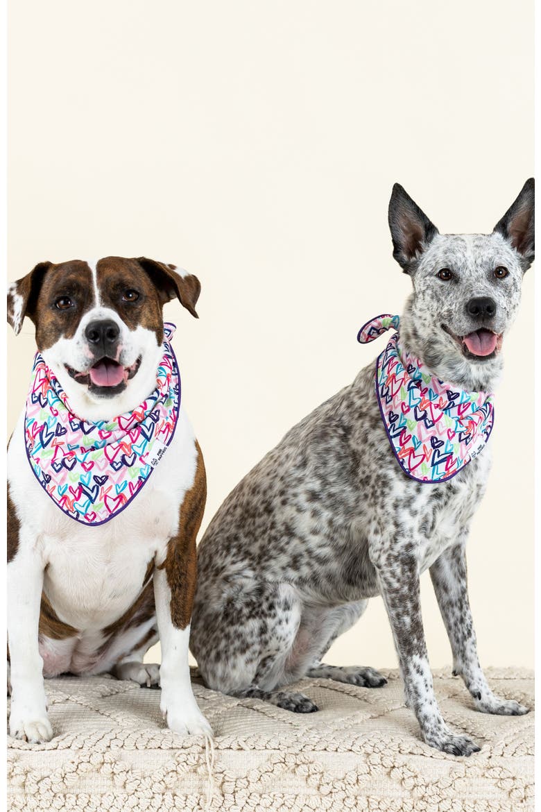 Giselle Pet Bandana, Alternate, color, Giselle