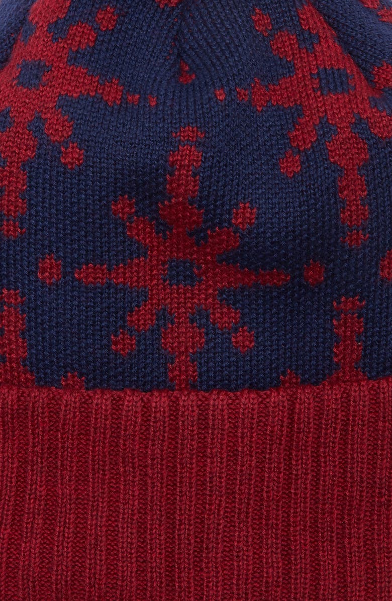 Patagonia 'Powder Down' Beanie, Alternate, color, 