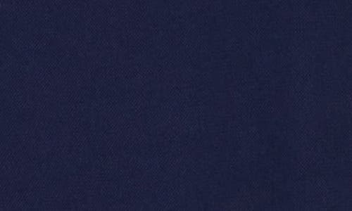 Tom Baine Performance Pants In Navy