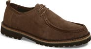 Steve Madden Tunis Derby