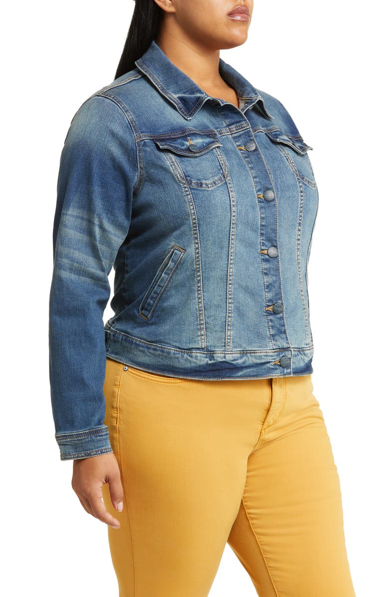 SLINK Jeans Denim Jacket, Alternate, color, Hayden