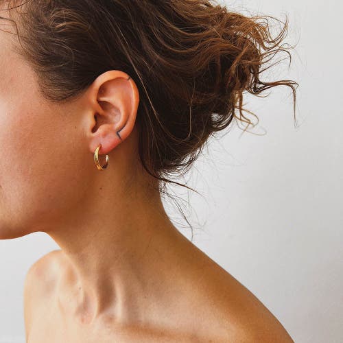 Astor & Orion Crescent Hoops In Gold