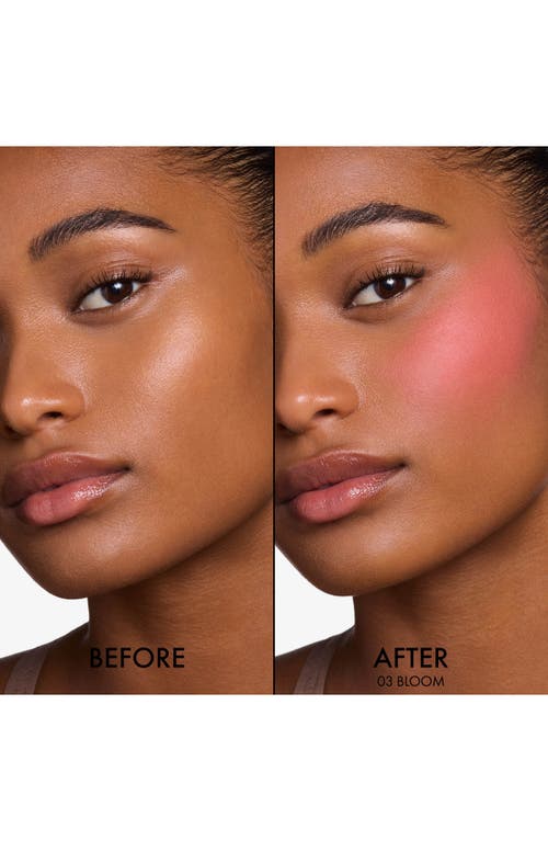 Dior ' Forever Blush Soft Filter Liquid Blush In Pink
