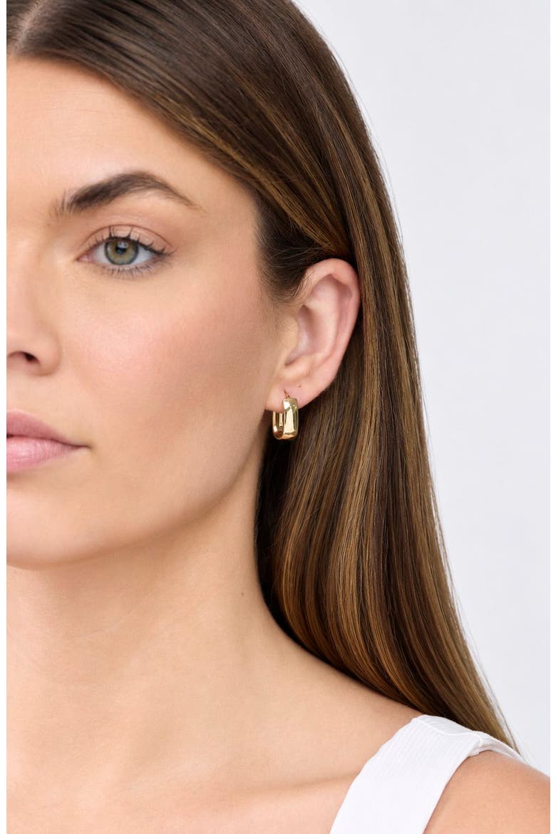 14k Gold Rectangular Hoop Earrings, Alternate, color, 14KY