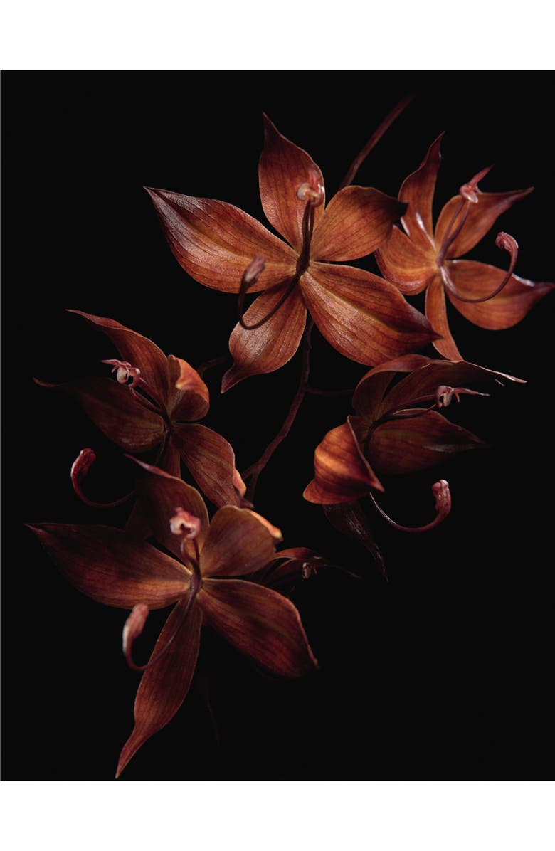 Guerlain Orchidée Impériale Black Orchid Cure, Alternate, color, 