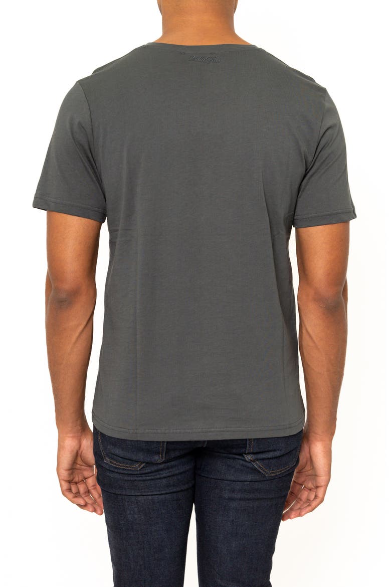 Montpellier V-Neck Cotton T-Shirt, Alternate, color, GREY