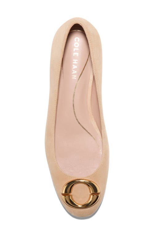 Cole Haan Skylar Ballet Flat