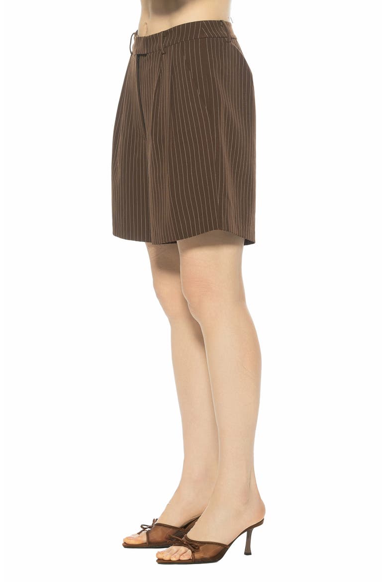 Dia Pinstripe Pleated Shorts, Alternate, color, BROWN PINSTRIPE