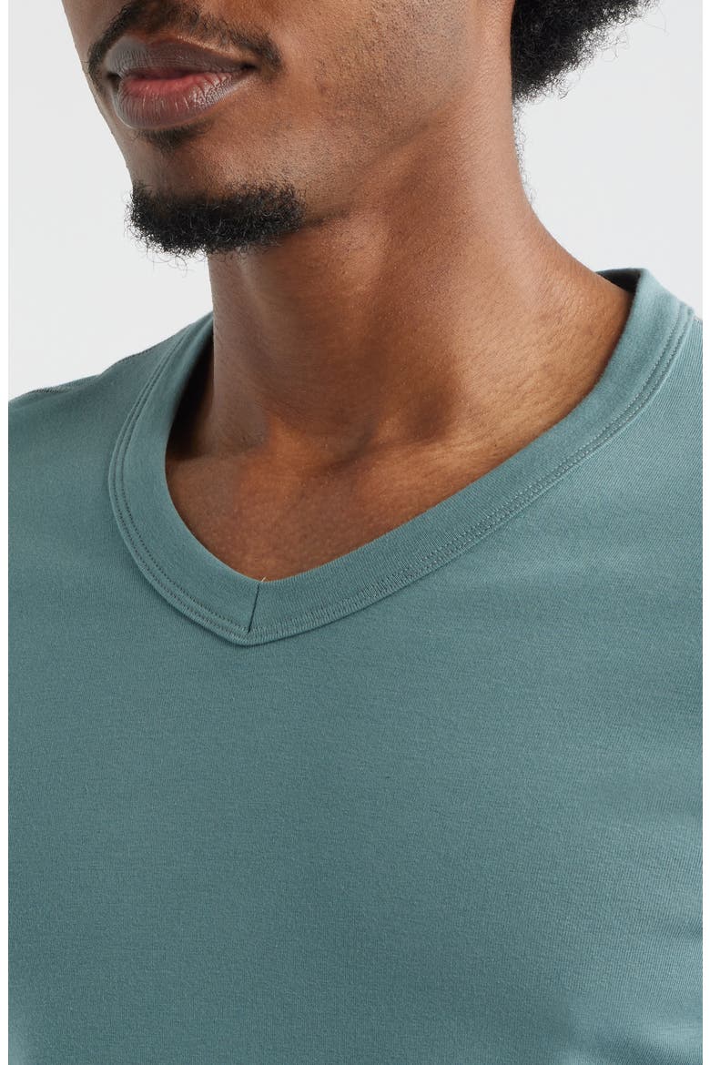 Cotton Jersey V-Neck T-Shirt, Alternate, color, TEAL
