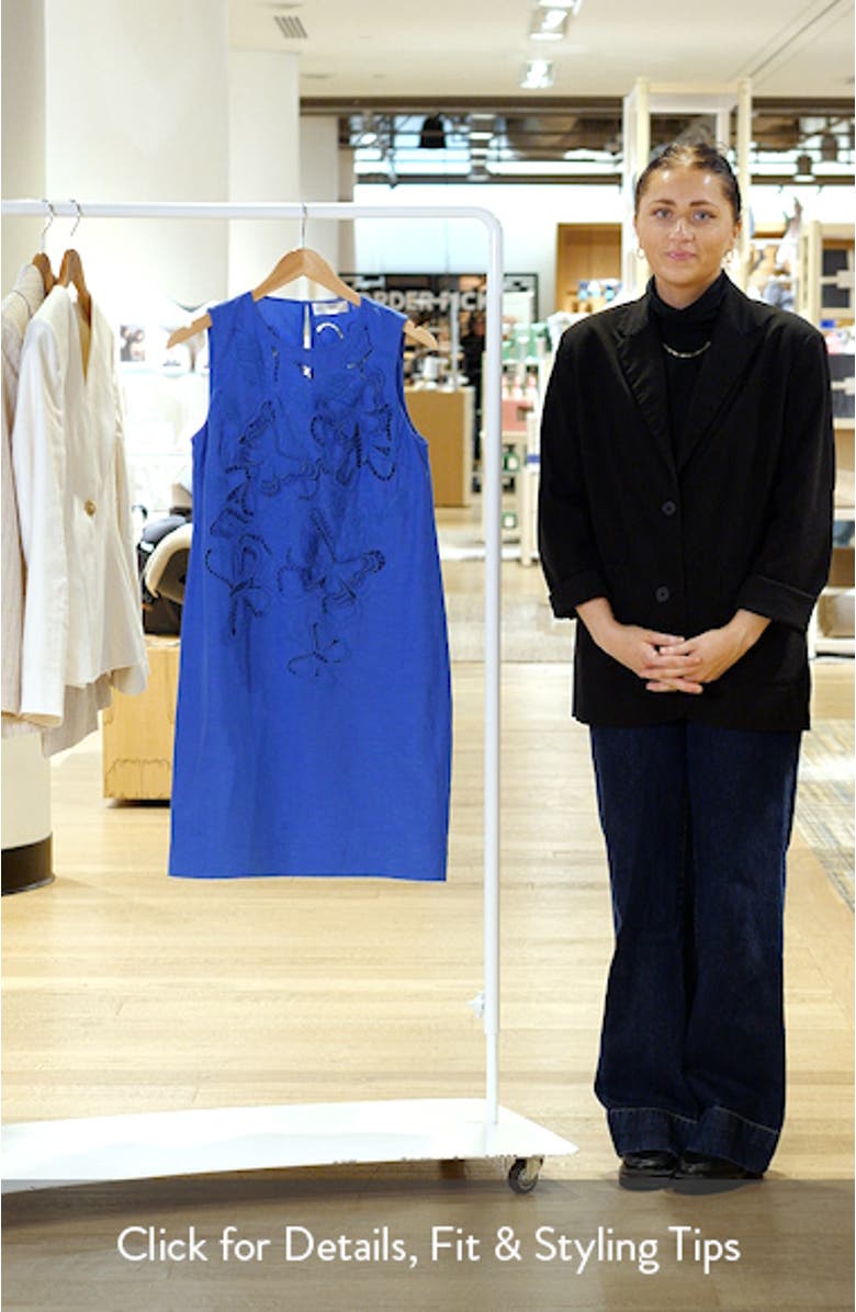 The Isabella Embroidered Sleeveless Dress, sales video thumbnail