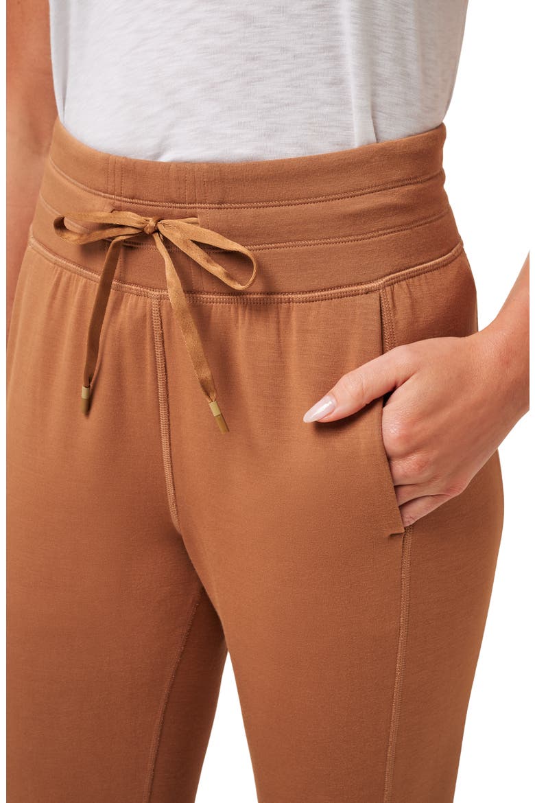 Core Skyloft Joggers, Alternate, color, CHESTNUT