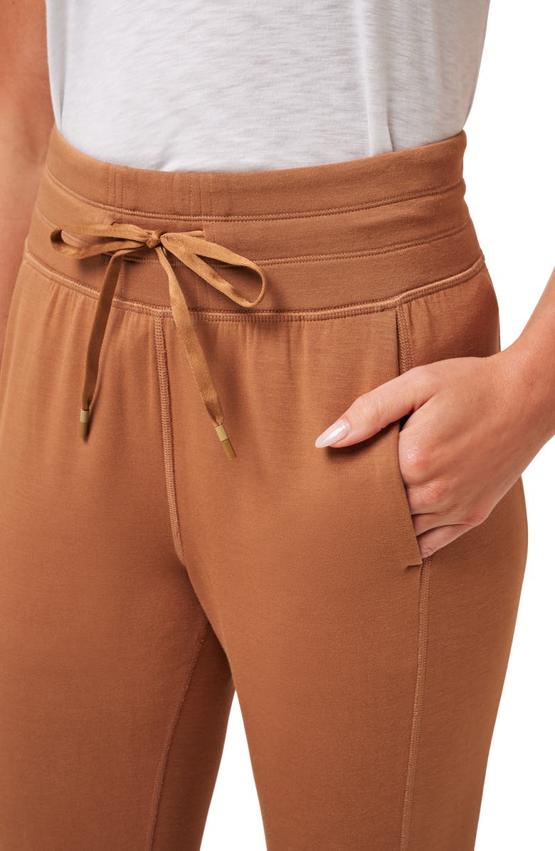 TravisMathew Core Skyloft Joggers, Alternate, color, Chestnut