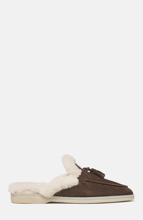 Scarosso Lucrezia Shearling Slip-on Mules In Brown