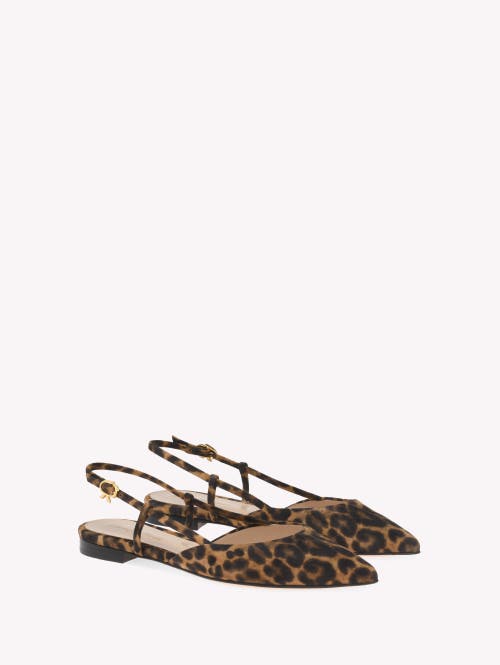 Shop Gianvito Rossi Ascent 05 Slingback In Brown
