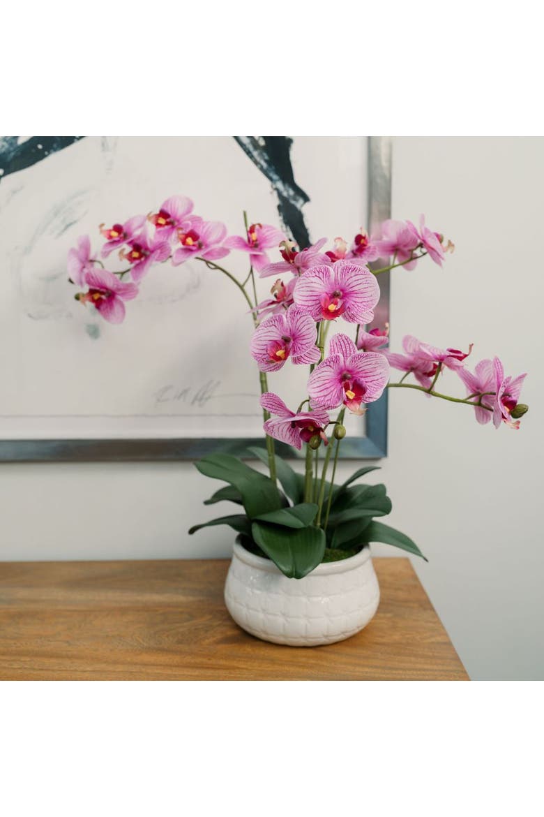 23" Phale Orchid, Alternate, color, Purple