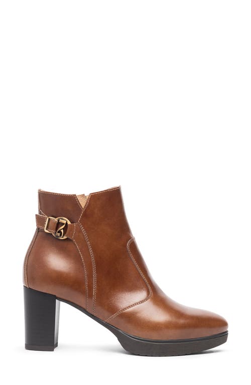 Nerogiardini Platform Bootie In Brown