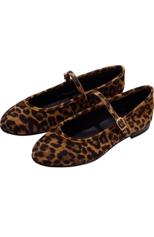 Margaux The Demi Jane Flat In Animal Print