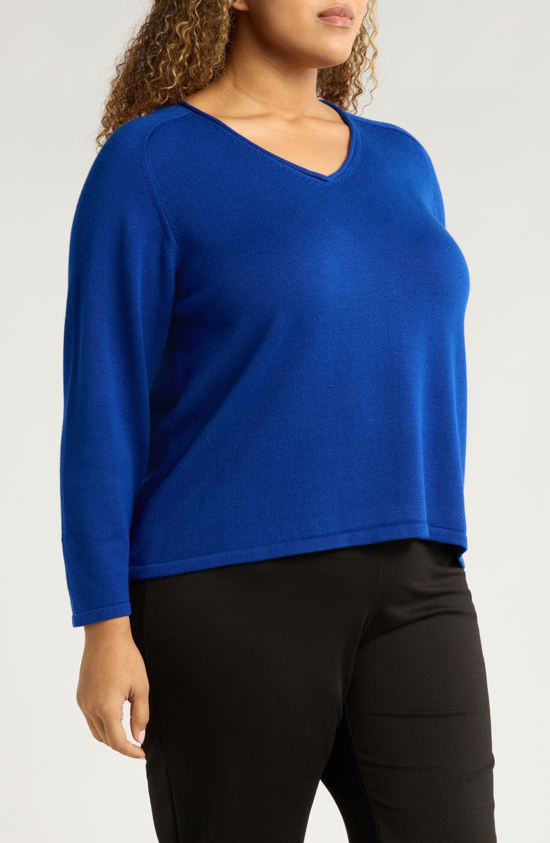 Eileen Fisher V-Neck Sweater, Alternate, color, 