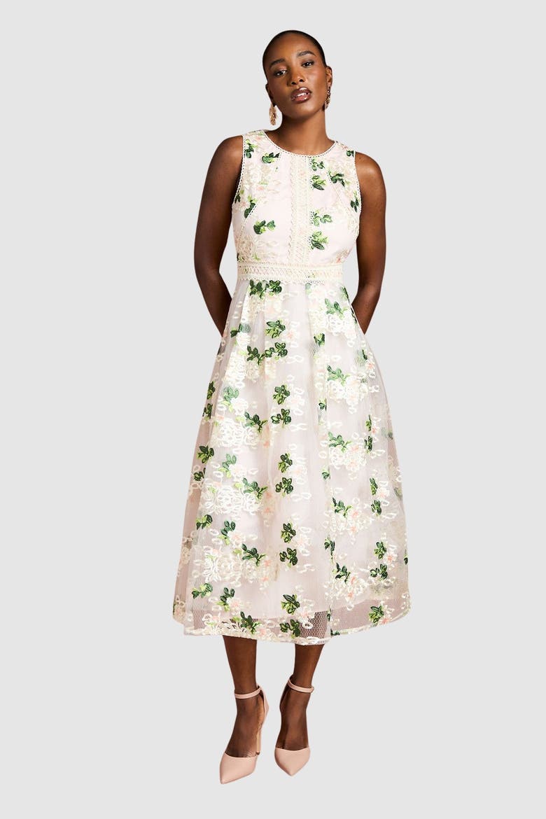 Embroidered Mesh Lace Skirted Midi Dress, Main, color, Blush
