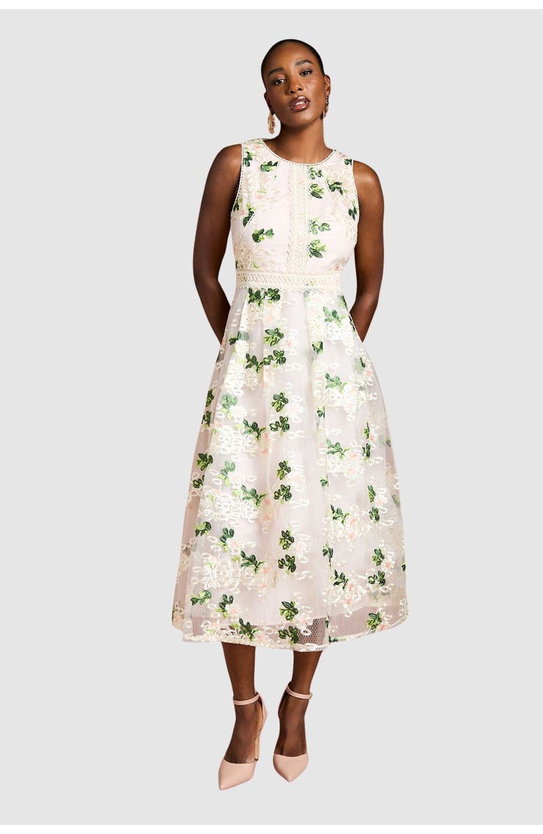 Coast Embroidered Mesh Lace Skirted Midi Dress, Main, color, Blush