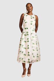 Coast Embroidered Mesh Lace Skirted Midi Dress