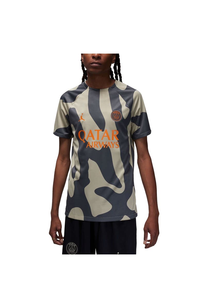 Jordan Brand Men's Jordan Brand Gray Paris Saint-Germain 2023/24 Academy Pro Pre-Match Top, Alternate, color, 