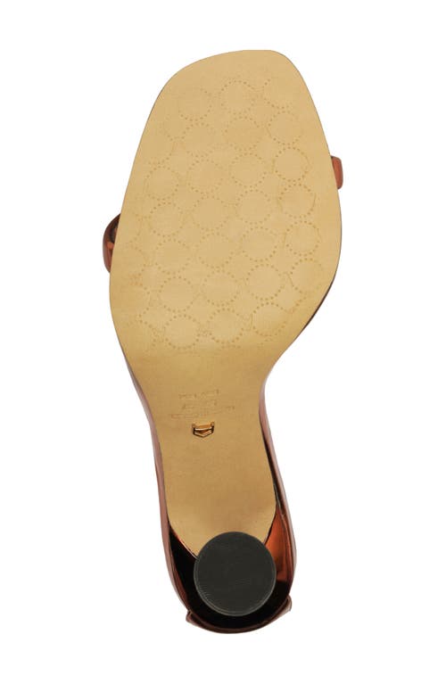 Arezzo Lea Ankle Strap Sandal In Brown