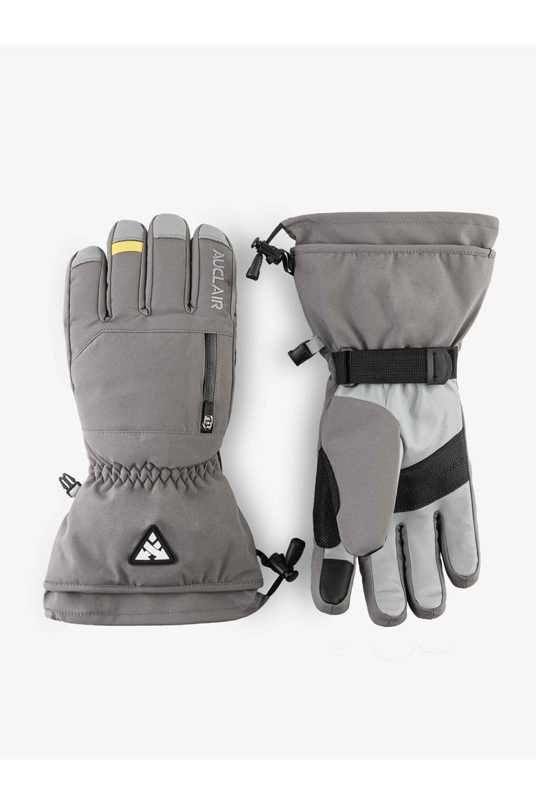 Powder King 2.0 Gloves, Main, color, CHARCOAL/GREY