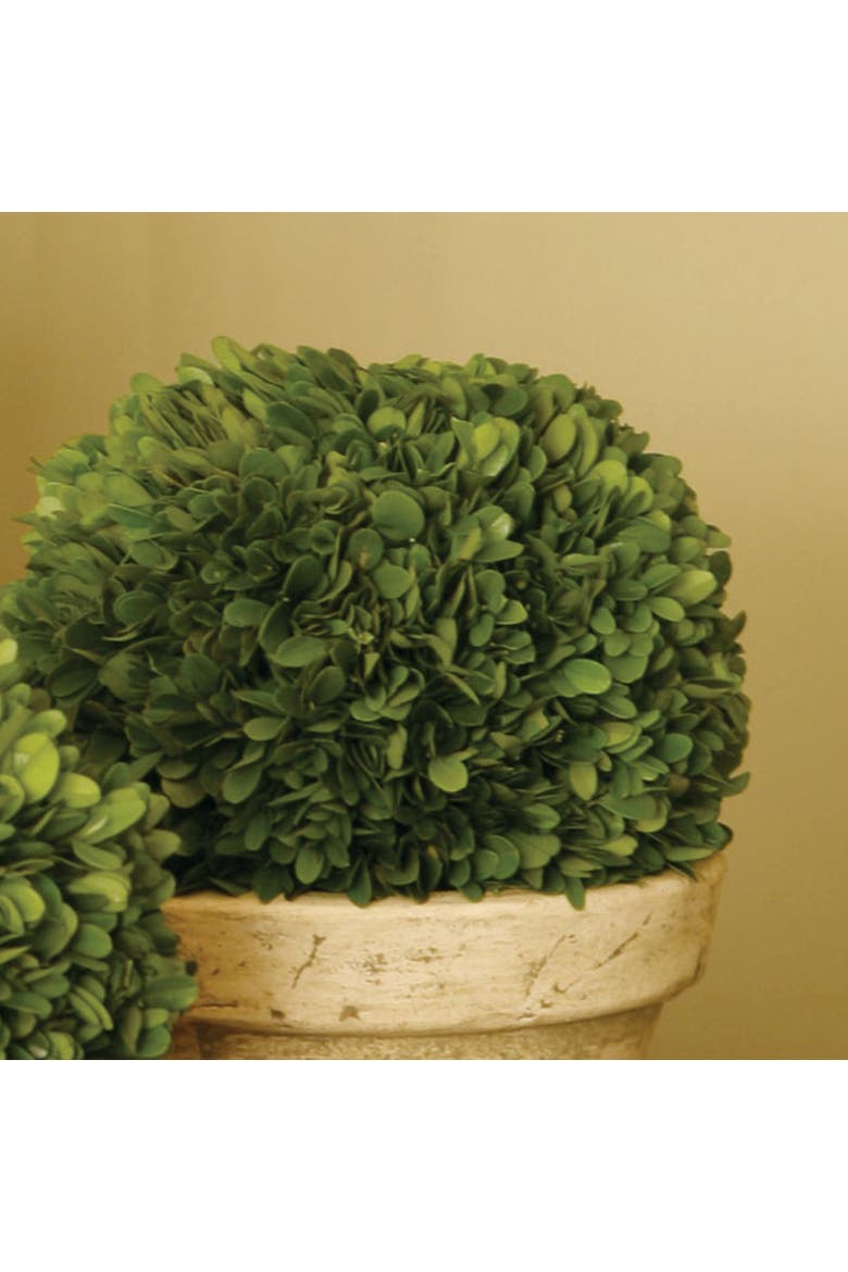 Boxwood Ball In Pot Large, Alternate, color, Brown