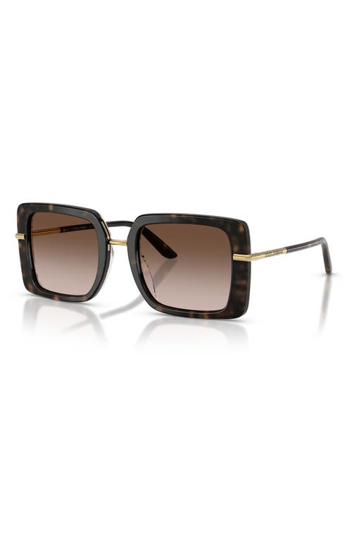Dolce & Gabbana Dna Sunglasses In Black