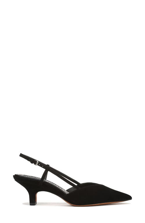 Vince Levvy Slingback Pointed Toe Kitten Heel Pump In Black