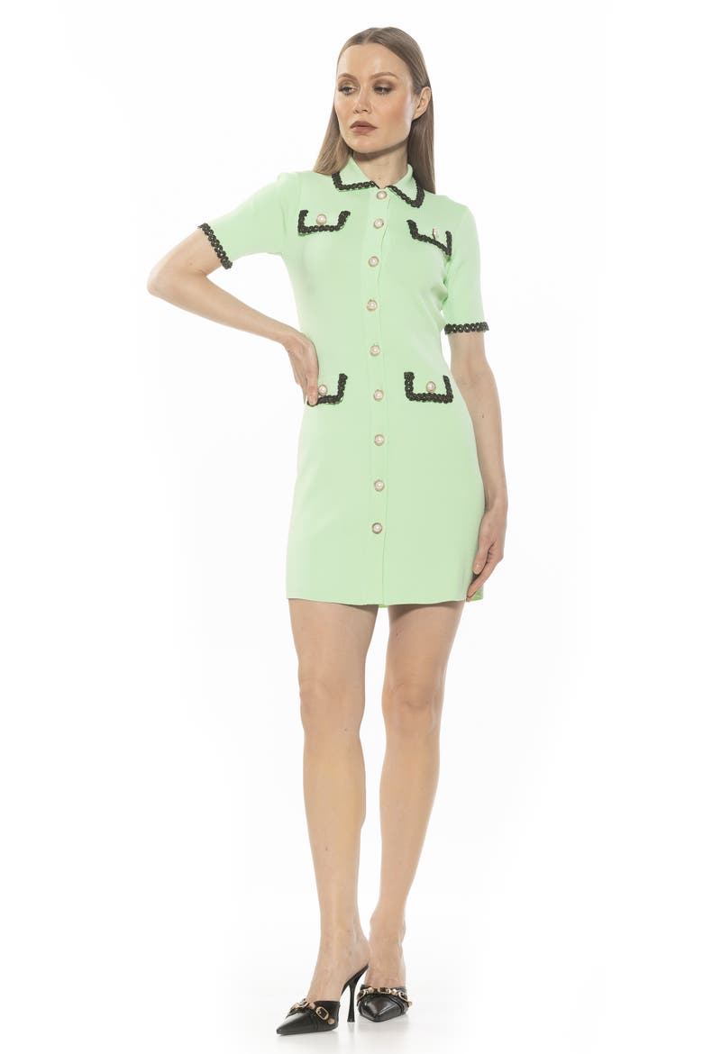 Odette Short Sleeve Knit Shirtdress, Alternate, color, SAGE