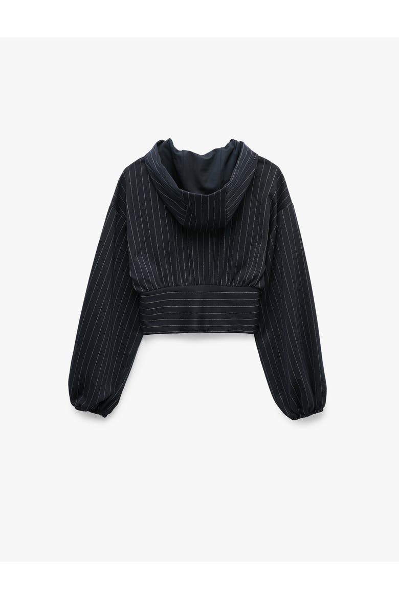 Long Sleeve Hooded Pinstripe Jacket, Alternate, color, NAVY STRIPE