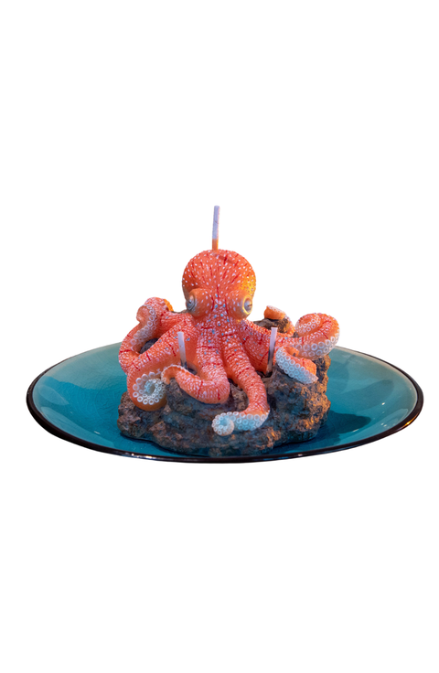 Octopus on Reef Candle