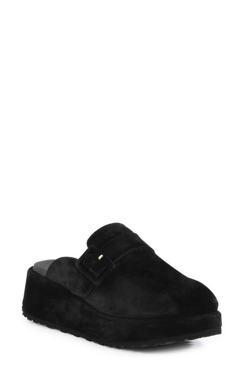 Seychelles Come Together Ii Platform Clog In Black