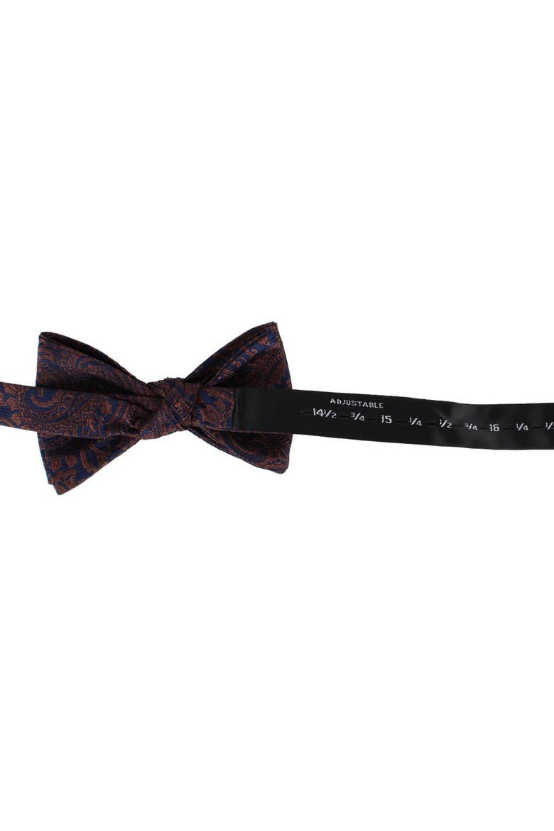 Sobee Paisley Silk Bow Tie, Alternate, color, Brown