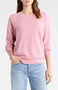 The Standard Stitch The Organic Cotton Raglan Sweatshirt