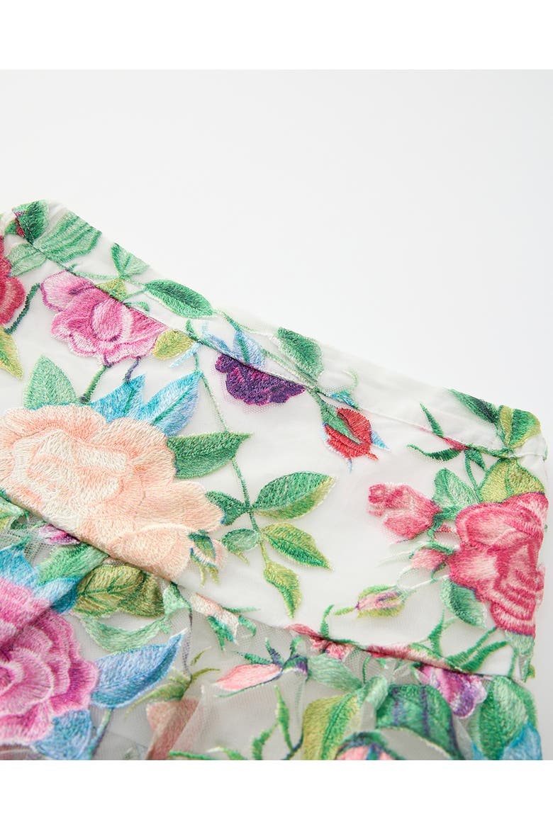 Rachelle Embroidered Mini Skirt, Alternate, color, Floral