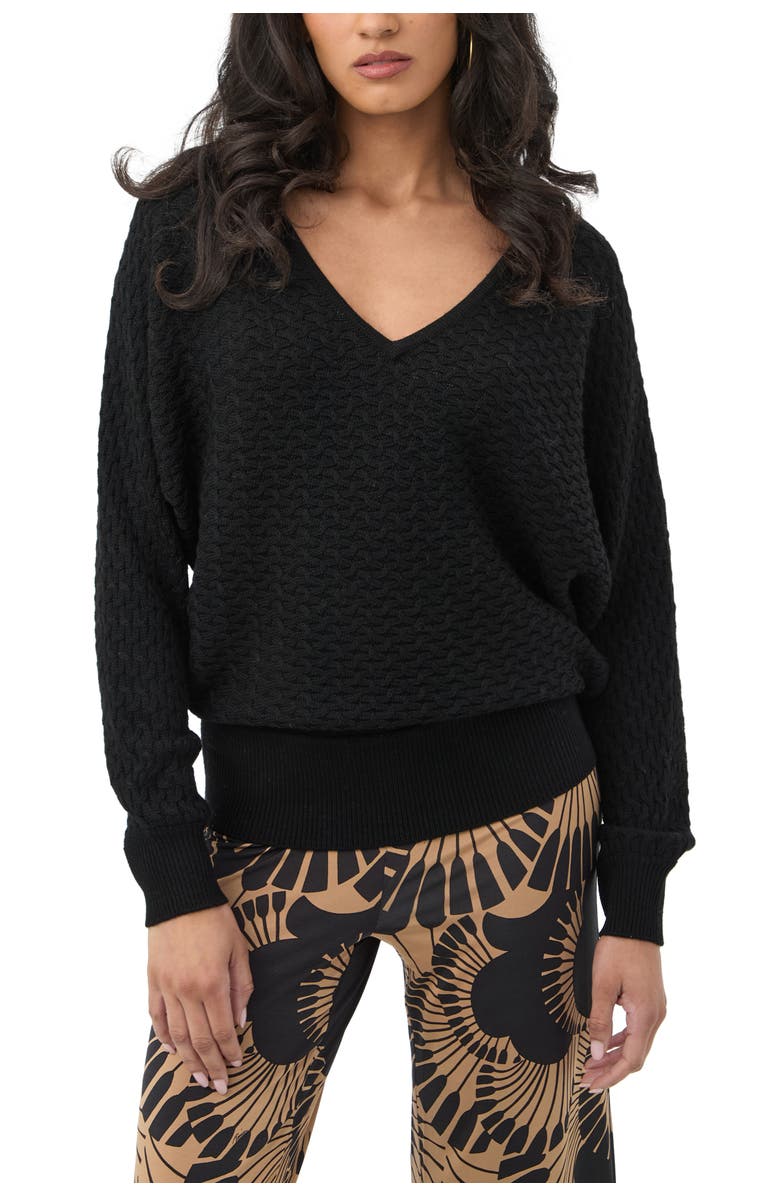 Trina Turk Lima V-Neck Pullover Sweater, Main, color, Black