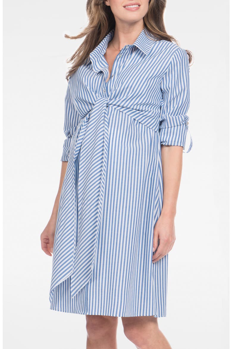 Stripe Long Sleeve Maternity/Nursing Shirtdress, Main, color, BLUE STRIPE