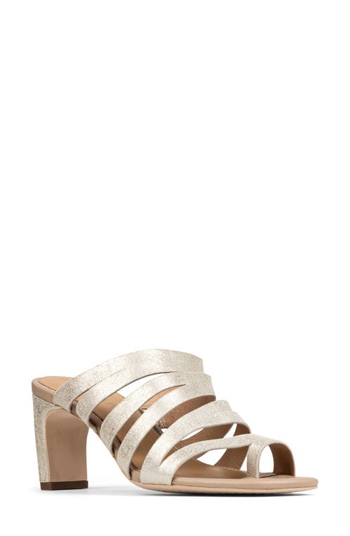 DONALD PLINER DONALD PLINER HAVANNA SANDAL 