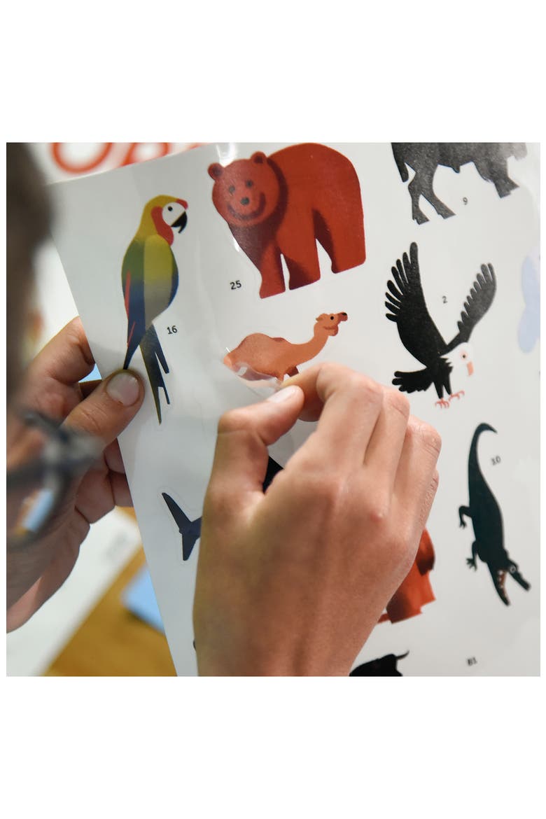 Animals Discovery Poster, Alternate, color, MULTI