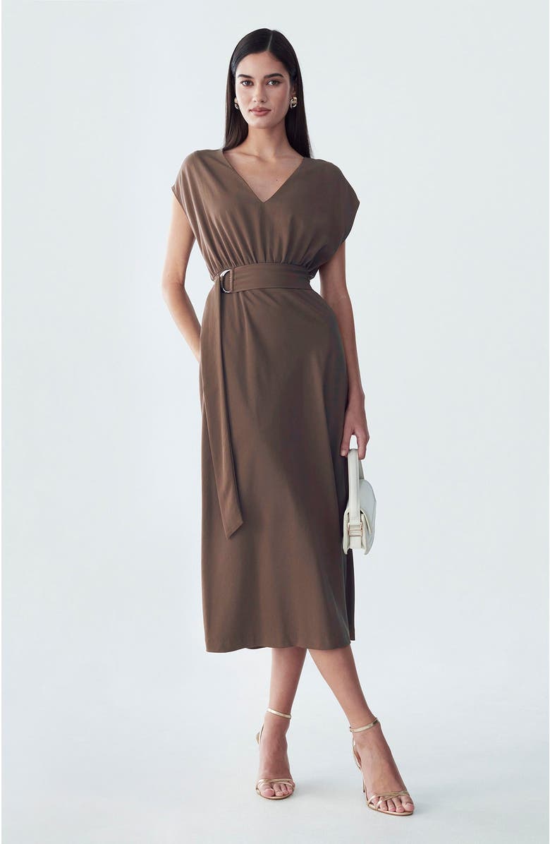 ST MRLO Enzy Dress, Alternate, color, Chocolate