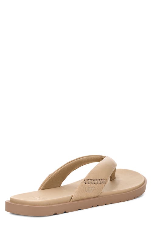 Ugg(r) Seaside Ii Flip Flop In Mustard Seed