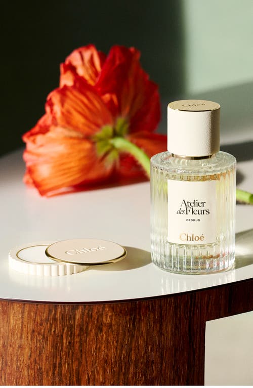 Chloé Atelier Des Fleurs Cedrus Solid Perfume Refills