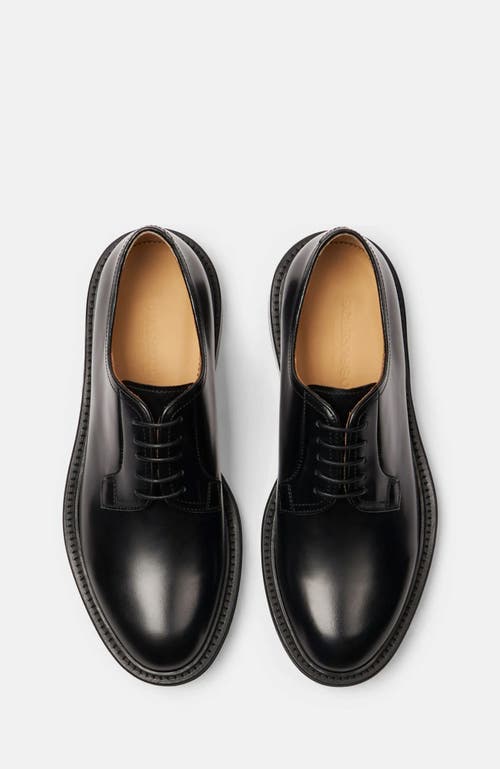 Scarosso Harry Derbies
