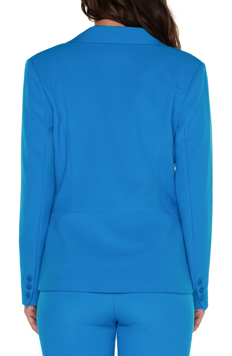 Liverpool Los Angeles One-Button Blazer, Alternate, color, 