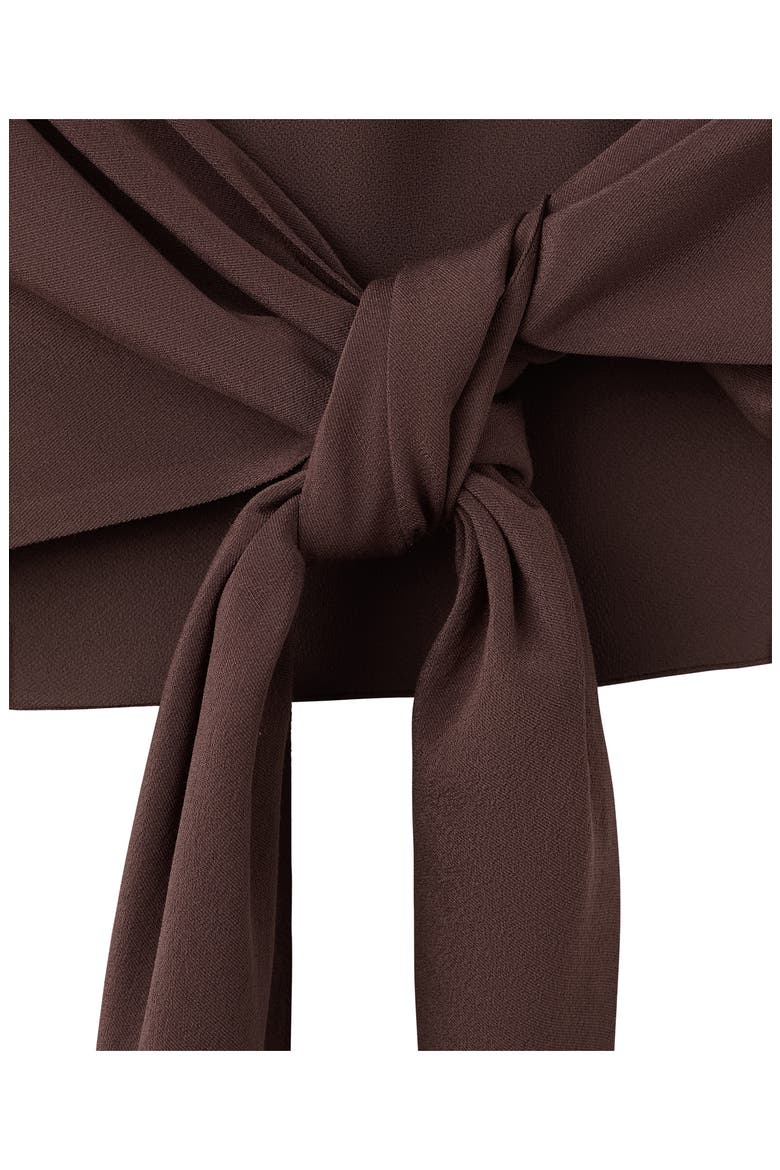 Drape Halter Crop Top, Alternate, color, BROWN